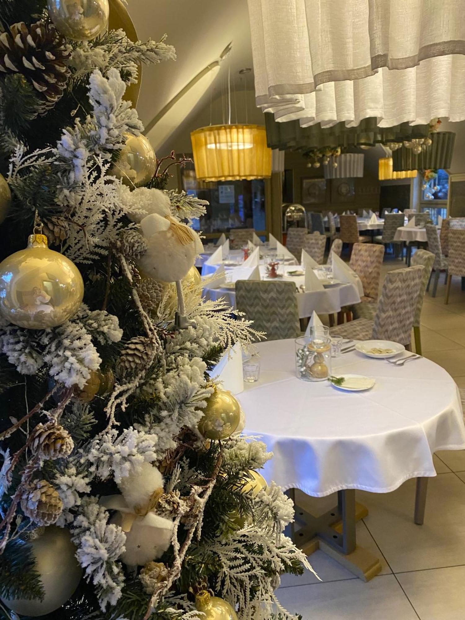 Resort Ski&spa Zieleniec Duszniki Zdroj